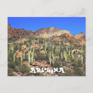 Arizona Saguaro Cactus Briefkaart