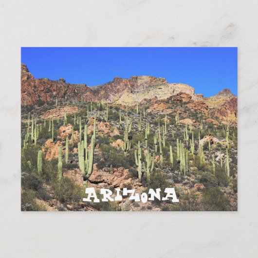 Arizona Saguaro Cactus Briefkaart (Voorkant)