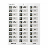 Arizona Saguaro Cactus Desert Plant Southwest Etiket (Full Sheet)