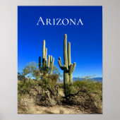 Arizona Saguaro Cactus Desert Poster (Voorkant)