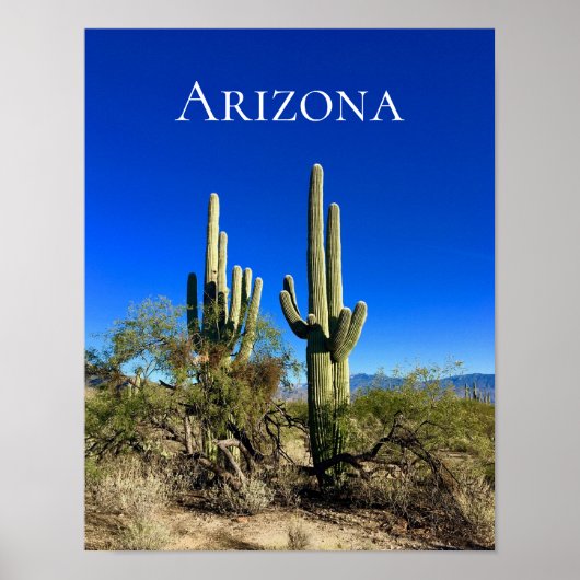 Arizona Saguaro Cactus Desert Poster (Voorkant)