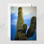 Arizona Saguaro Cactus High  Briefkaart (Voorkant / Achterkant)