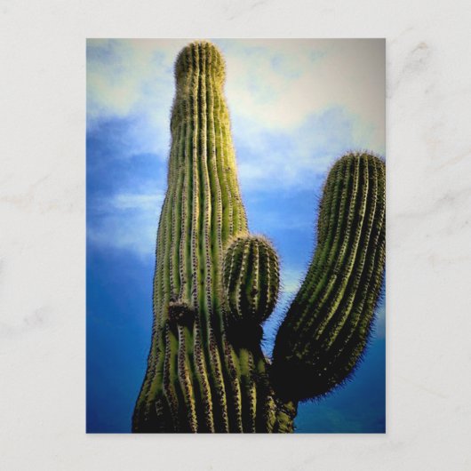 Arizona Saguaro Cactus High  Briefkaart (Voorkant)