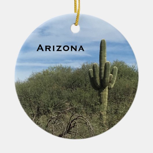 Arizona Saguaro Cactus Landscape Ornament (Voorkant)