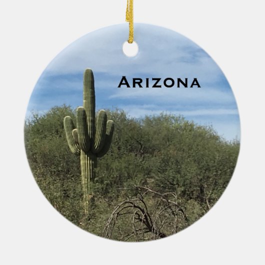 Arizona Saguaro Cactus Landscape Ornament (Achterkant)
