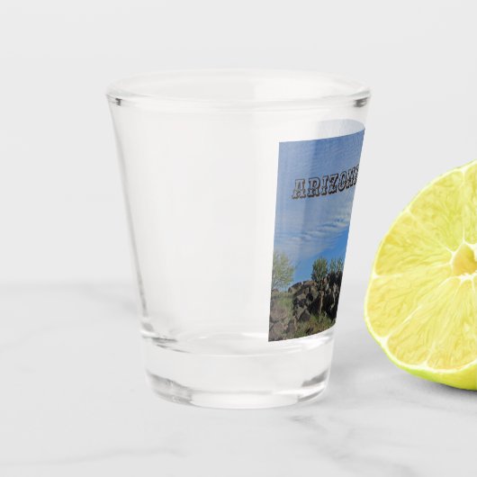 Arizona Saguaro Cactus Landschap Foto keepslag Shot Glas (Links)