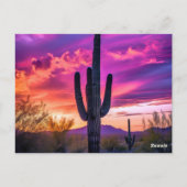 Arizona Saguaro Cactus SouthWestern Desert Sunset Briefkaart (Achterkant)