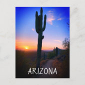 Arizona Saguaro Cactus Sunset Souvenir Travel Briefkaart (Voorkant)