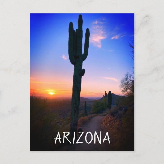 Arizona Saguaro Cactus Sunset Souvenir Travel Briefkaart (Voorkant)
