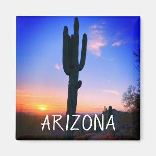 Arizona Saguaro Cactus Sunset Souvenir Travel Magneet