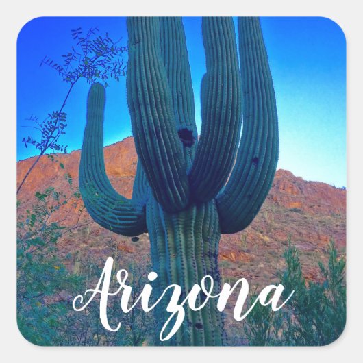Arizona Saguaro Cactus Vierkante Sticker (Voorkant)