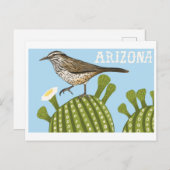 Arizona Saguaro Cactus Wren tekening Briefkaart (Voorkant / Achterkant)
