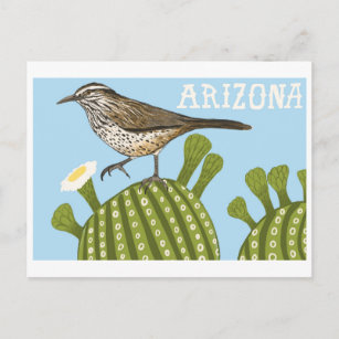 Arizona Saguaro Cactus Wren tekening Briefkaart