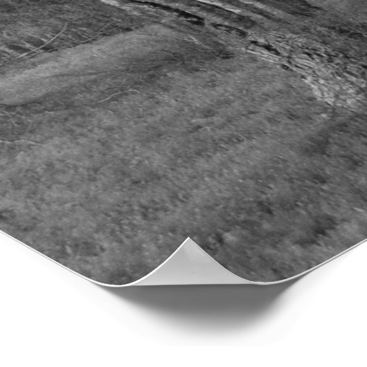 Arizona Saguaro Poster (Hoek)