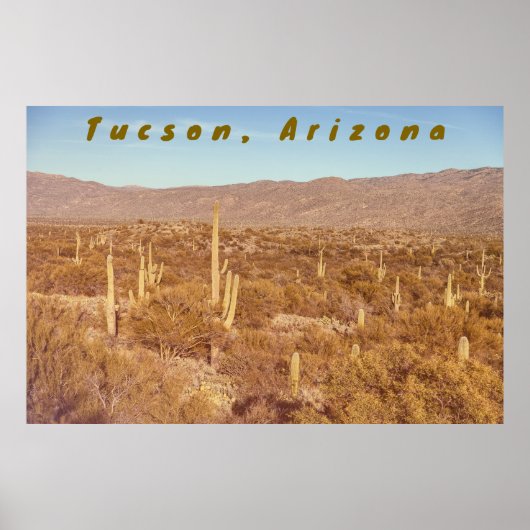 Arizona Saguaros Poster (Voorkant)