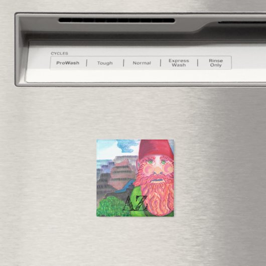 Arizona Selfie Magneet (Insitu (Vaatwasser))