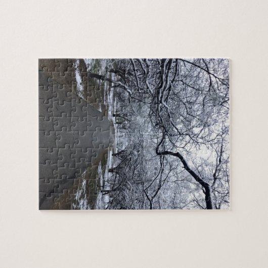 Arizona Snow Scene Puzzle - Middelgroot 110 stuks Legpuzzel (Horizontaal)