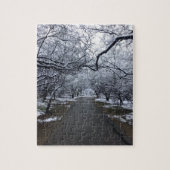 Arizona Snow Scene Puzzle - Middelgroot 110 stuks Legpuzzel (Verticaal)