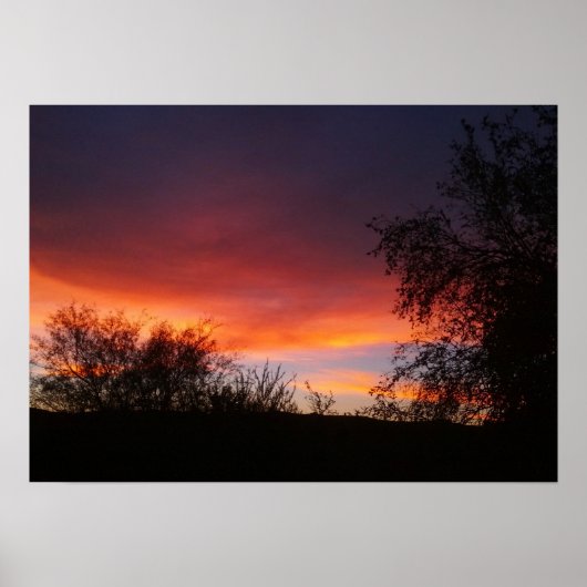 Arizona Sonoran Desert 21 x 15 Poster (Voorkant)