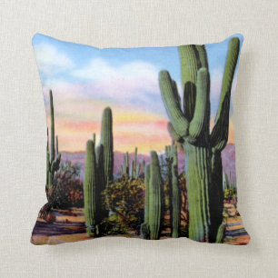 Arizona Sonoran Desert Scene Kussen