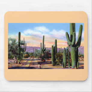 Arizona Sonoran Desert Scene Muismat