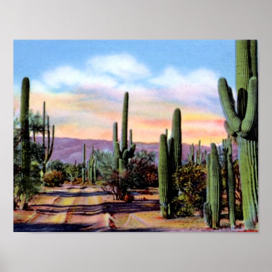 Arizona Sonoran Desert Scene Poster (Voorkant)