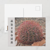 Arizona Southwest State Travel Red Barrel Cactus Briefkaart (Voorkant / Achterkant)