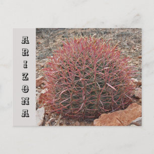 Arizona Southwest State Travel Red Barrel Cactus Briefkaart