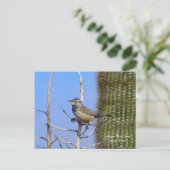 Arizona State Bird Briefkaart (Staand voorkant)