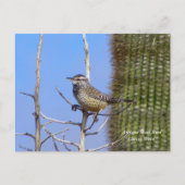Arizona State Bird Briefkaart (Voorkant)