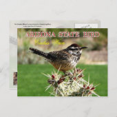 Arizona State Bird - Cactus Wren Briefkaart (Voorkant / Achterkant)