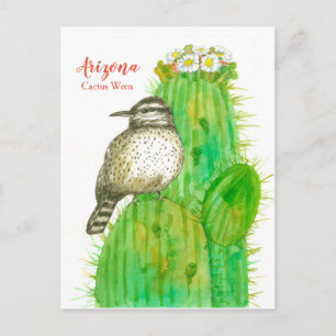 Arizona State Bird Cactus Wren Witte Bloesems Briefkaart