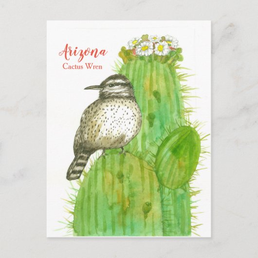 Arizona State Bird Cactus Wren Witte Bloesems Briefkaart (Voorkant)