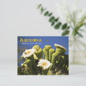 Arizona State Flower: Saguaro Cactus Blossom Briefkaart (Staand voorkant)