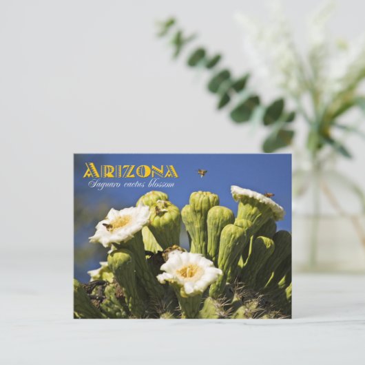 Arizona State Flower: Saguaro Cactus Blossom Briefkaart (Staand voorkant)