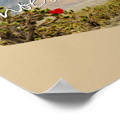 Arizona State Photo insert and town name Poster (Hoek)