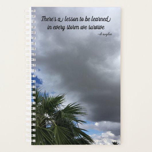 Arizona Summer Storm Planner (Voorkant)