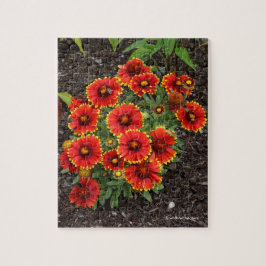 Arizona Sun Blanketflower Legpuzzel