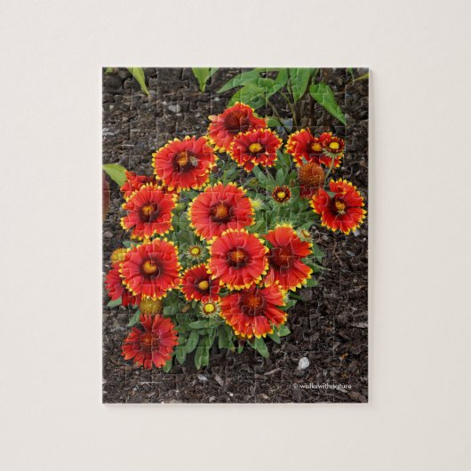 Arizona Sun Blanketflower Legpuzzel (Verticaal)