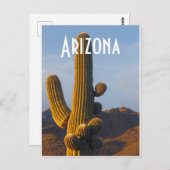 Arizona Sunlit Saguaro Briefkaart (Voorkant / Achterkant)