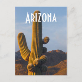 Arizona Sunlit Saguaro Briefkaart