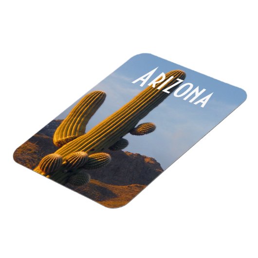 Arizona Sunlit Saguaro Magneet (Linkerzijde)