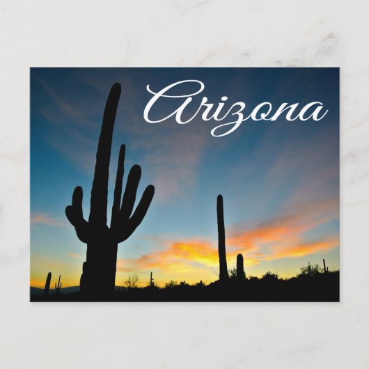 Arizona Sunrise Cactus & Desert Travel Briefkaart (Voorkant)