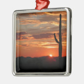 Arizona Sunset-Breathaming Metalen Ornament (Links)