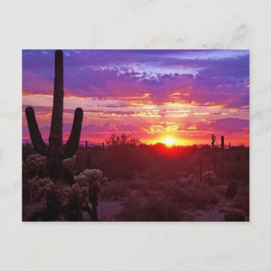 arizona sunset briefkaart (Voorkant)