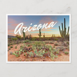 Arizona Sunset Cactus Foto Briefkaart