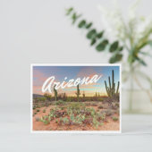 Arizona Sunset Cactus Foto Briefkaart (Staand voorkant)