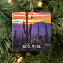 Arizona Sunset Desert Cactus