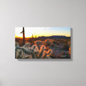 Arizona Sunset in Sonoran Desert met Cactus Canvas Afdruk (Voorkant)