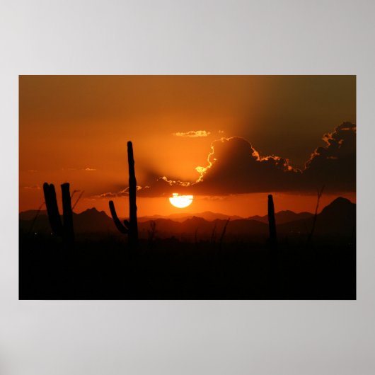 Arizona Sunset Poster (Voorkant)